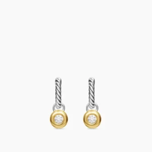 Petite Drop Earrings